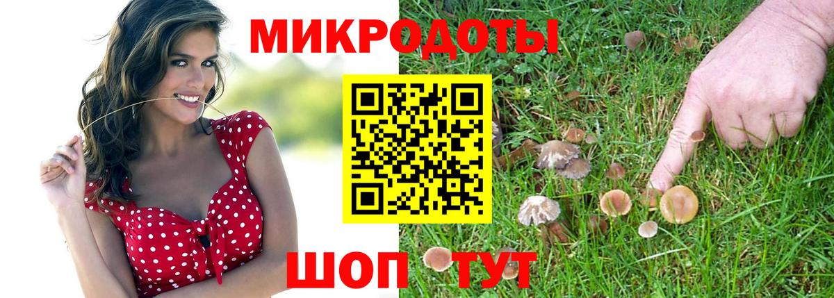 Галлюциногенные грибы Psilocybe Ирбит