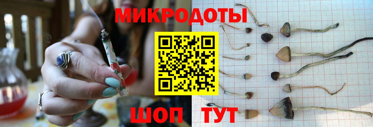 Ирбит  Галлюциногенные грибы Cubensis  Вход с VPN 